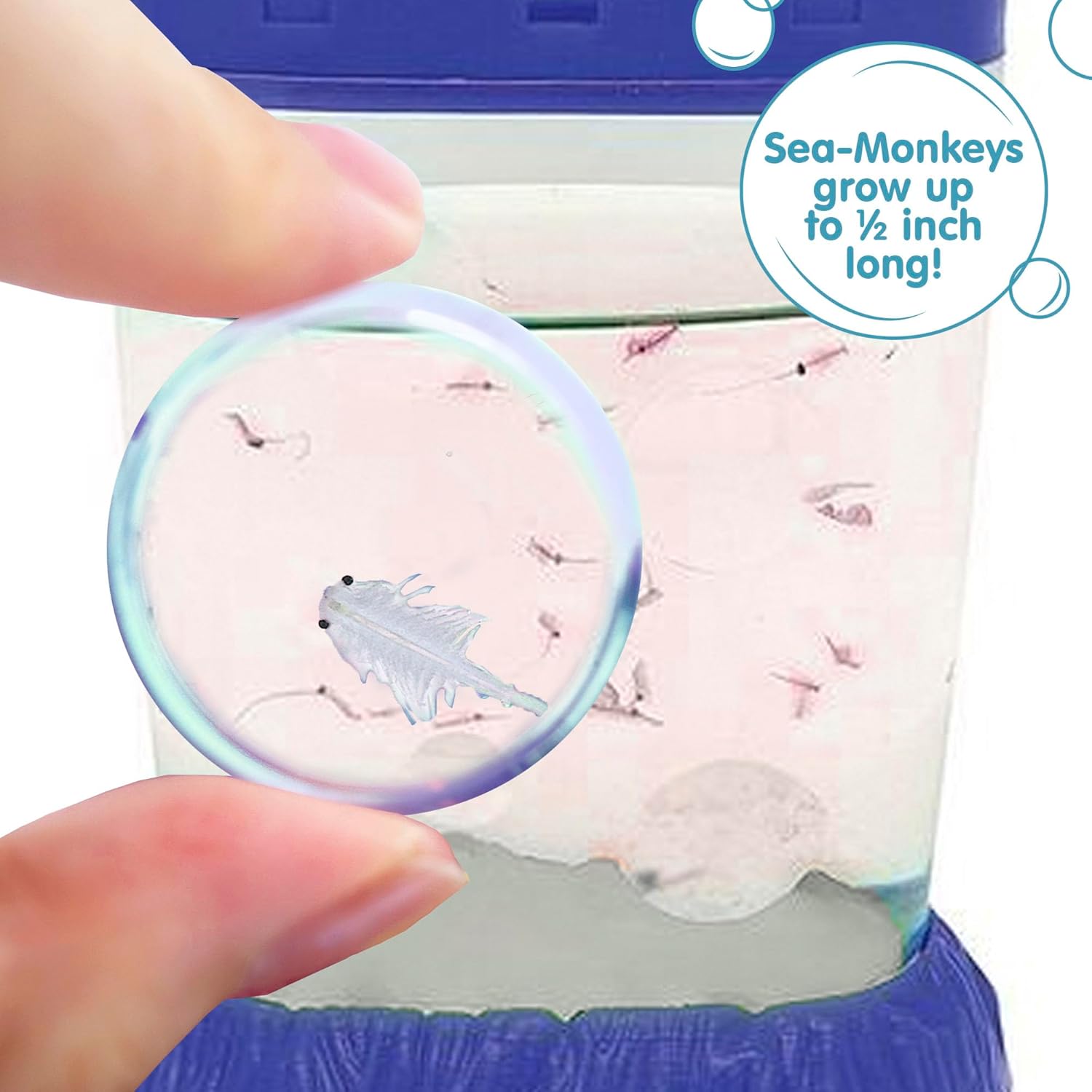 Sea-Monkeys Magiquarium - World-s Easiest. No-Mess Pet - Grow Your Own Pet in a Light-Up Aquarium - Ages 6 and Up - One Kit - Image 5